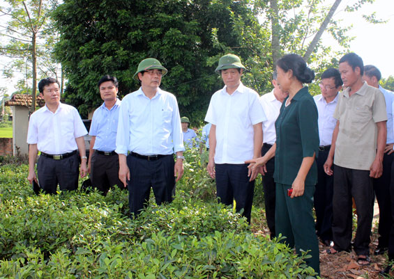 Bộ trưởng Bộ Nông nghiệp và PTNT làm việc tại Thái Nguyên 